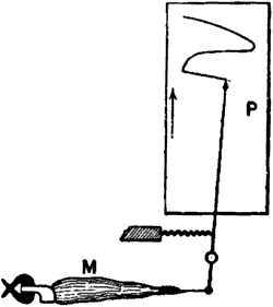 fig001.jpg