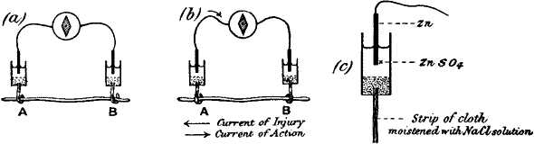 fig002.jpg