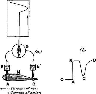 fig004.jpg