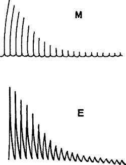 fig005.jpg