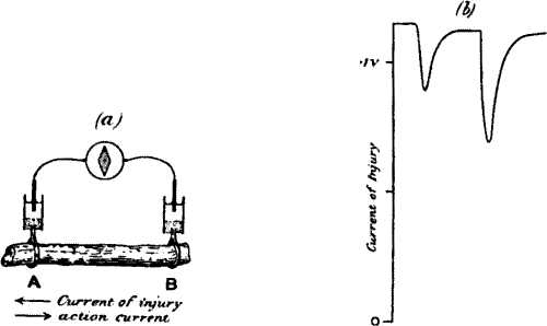fig006.jpg