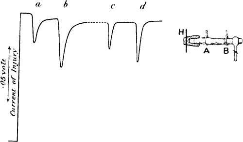fig012.jpg