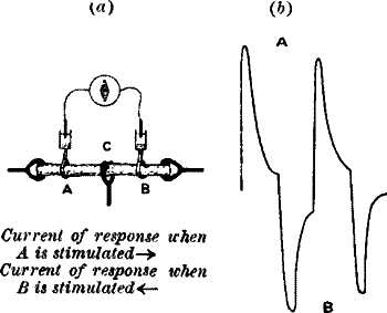 fig014.jpg