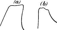 fig017.jpg
