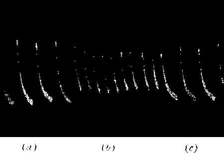 fig020.jpg