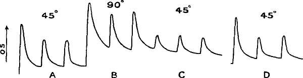 fig023.jpg