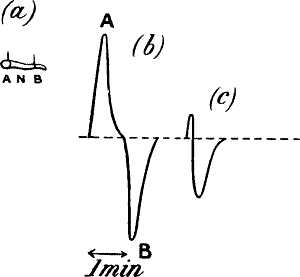 fig026.jpg