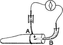 fig029.jpg