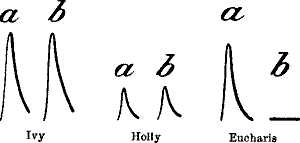 fig036.jpg