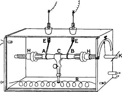 fig037.jpg