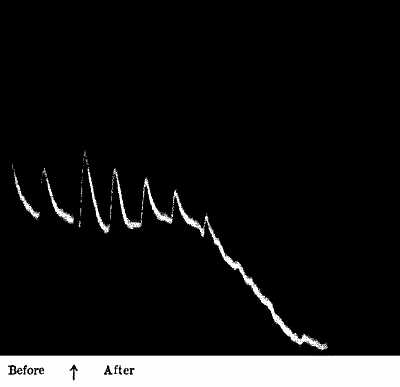 fig042.jpg