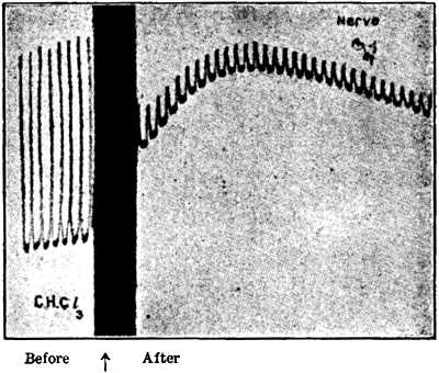 fig043.jpg