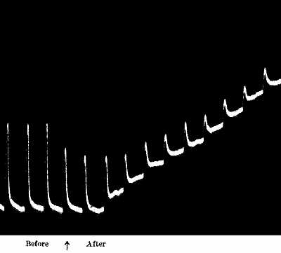 fig044.jpg