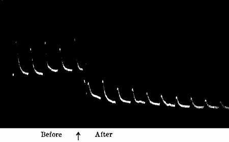 fig045.jpg