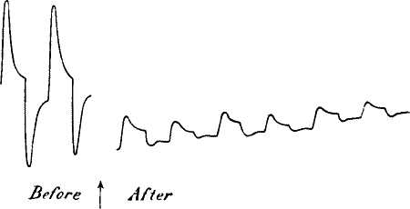 fig047.jpg