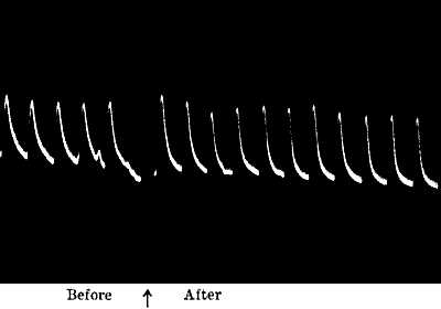 fig048.jpg