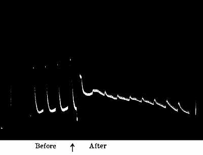 fig049.jpg