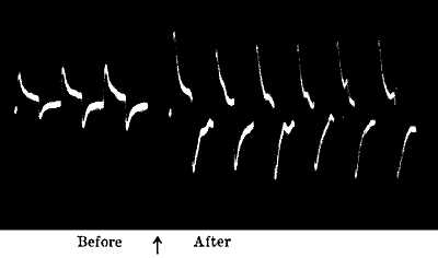 fig058.jpg