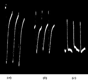 fig067.jpg