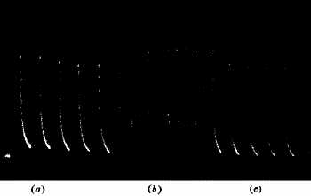 fig072.jpg