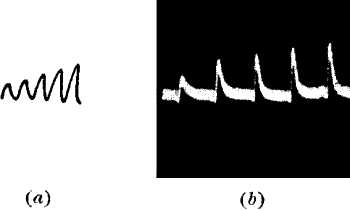fig074.jpg