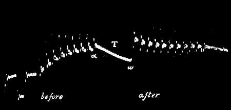 fig075.jpg