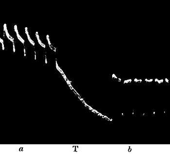 fig079.jpg
