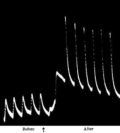 fig089.jpg
