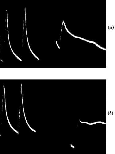fig093.jpg