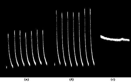 fig094.jpg