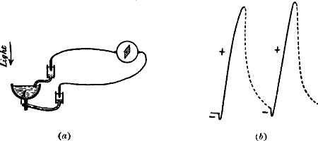 fig096.jpg