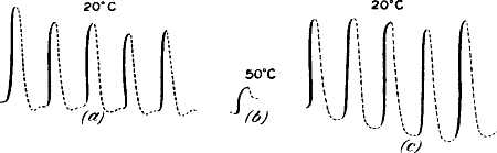 fig101.jpg