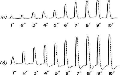 fig102.jpg