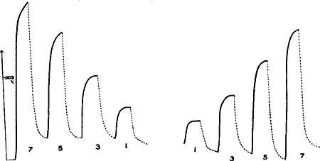 fig103.jpg