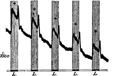 fig106.jpg