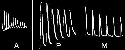 fig113.jpg
