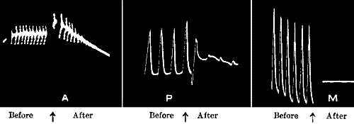fig117.jpg