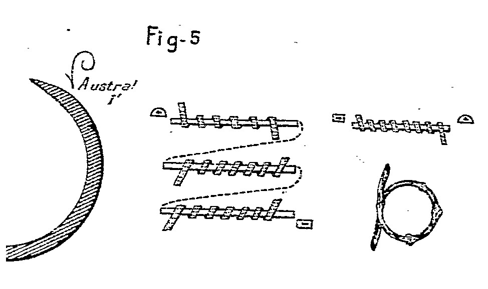 33826-5.jpg