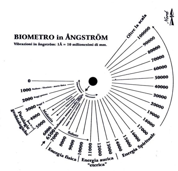 bovis-circ.jpg