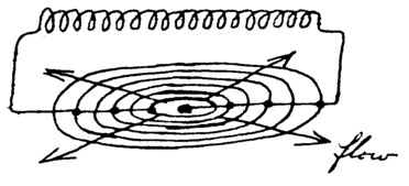 139.jpg