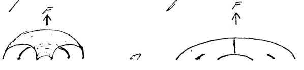 17b.jpg