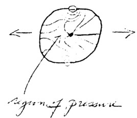 18b.jpg