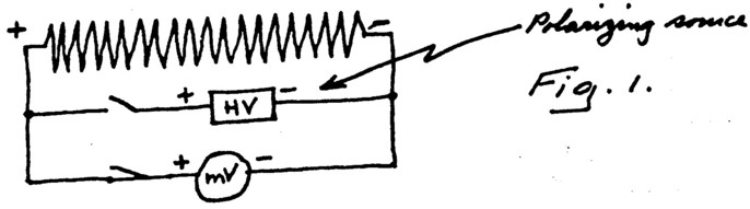 p126.jpg