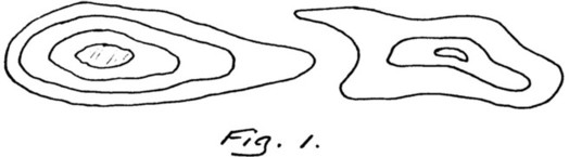 p19.jpg