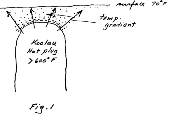 p21.jpg
