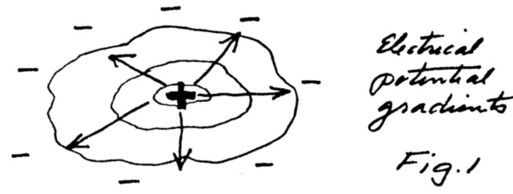 p27.jpg