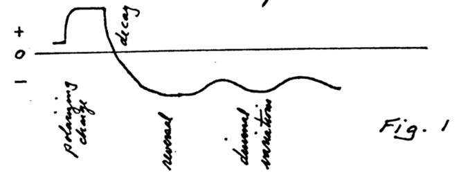 p48.jpg