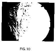 wo962-10.jpg