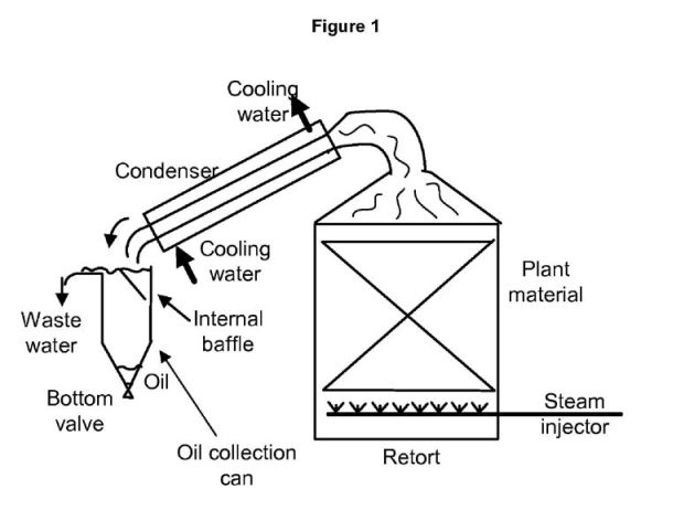 fig1.jpg