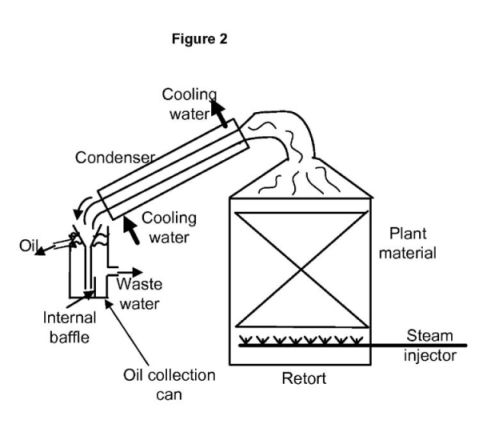 fig2.jpg